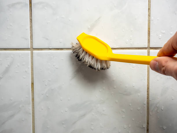Best Preventive Mold Services in Lampasas, TX